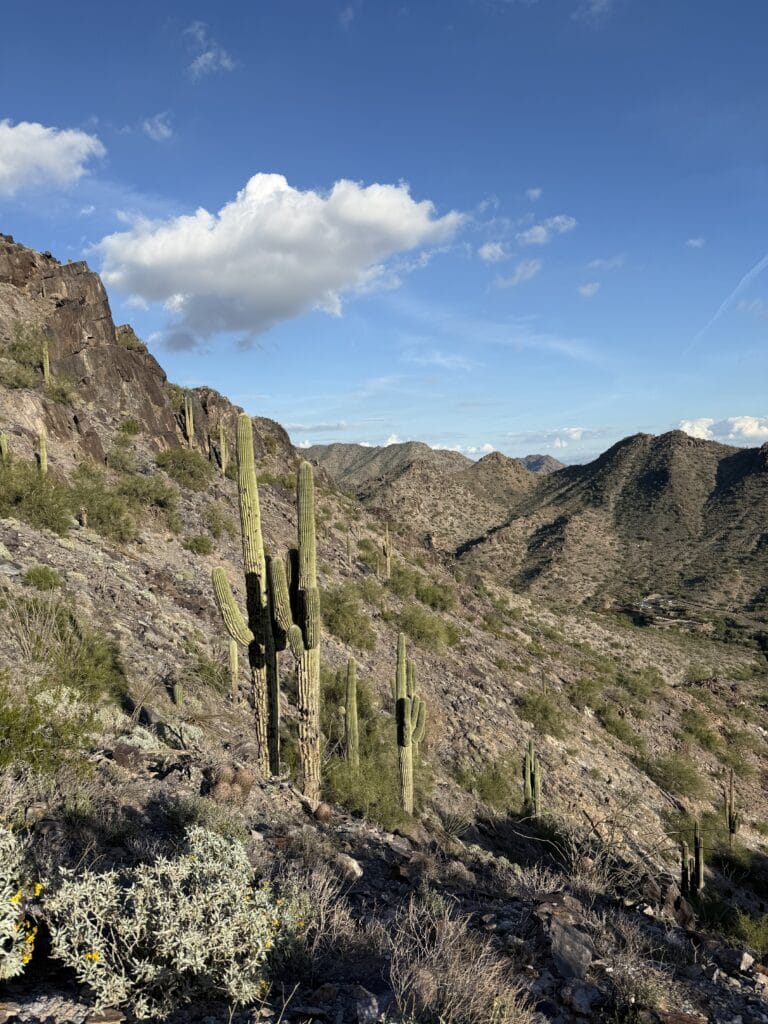 Hiking trail in the mountains with cacti