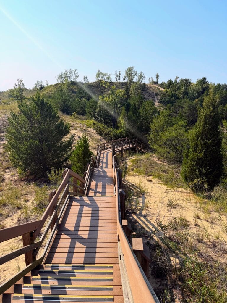 View from the top of a wooden staircase that weaves through a wooded area and sand as it nears the beach.